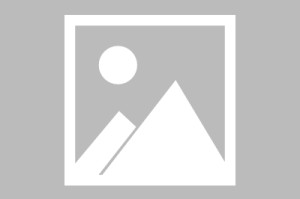 kaiyun-重磅！布鲁克林篮网转会期完成体检北京国安围绕NBA季后赛豪取连胜，多特蒙德止住颓势备战英超的简单介绍
